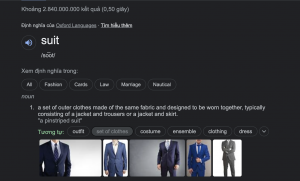 Định nghĩa "Suit" trên kết quả tìm kiếm từ Google